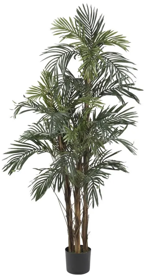 5ft. Robellini Palm Silk Tree in Green by Bellanest