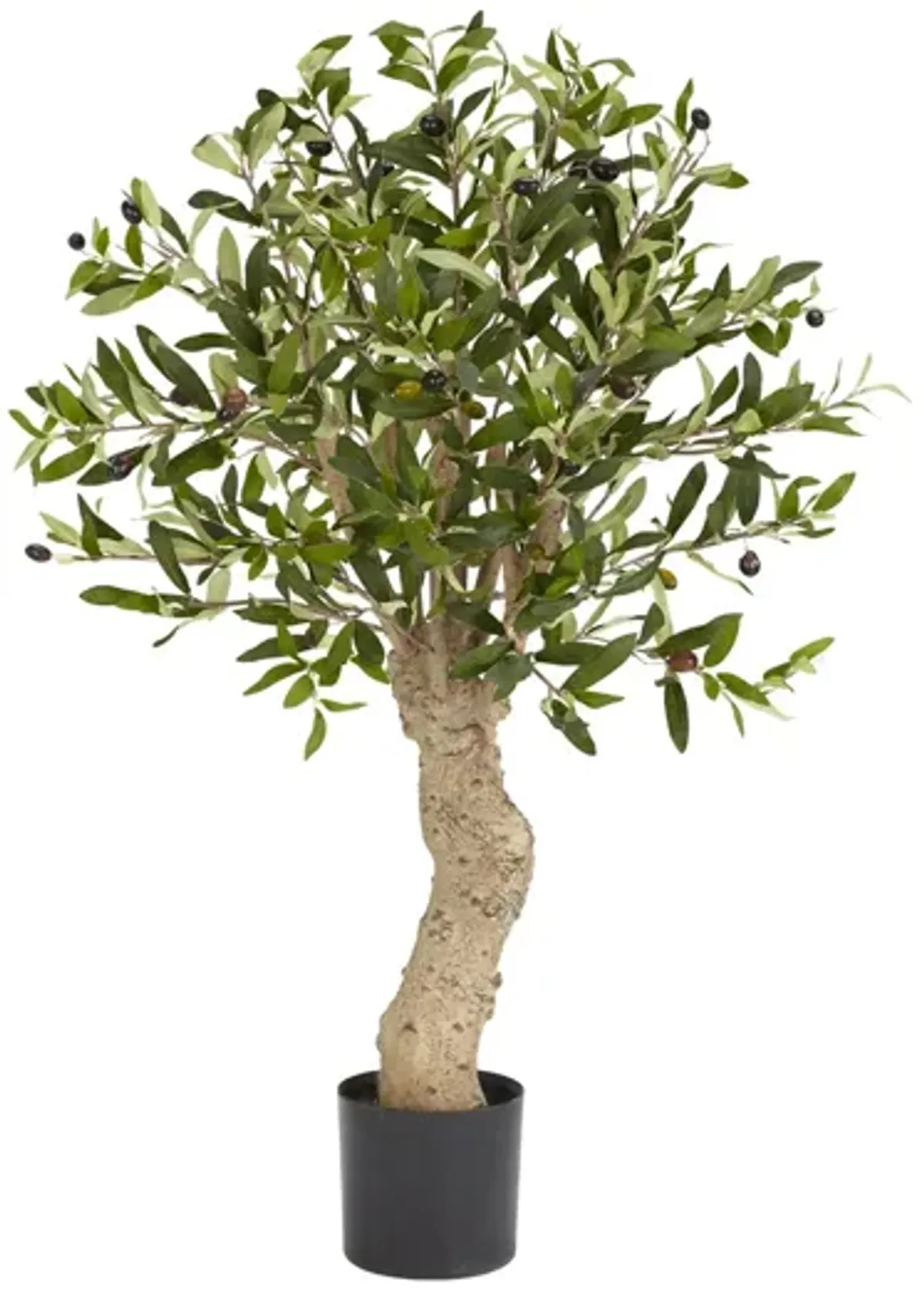 2.5ft. Olive Silk Tree in Green by Bellanest