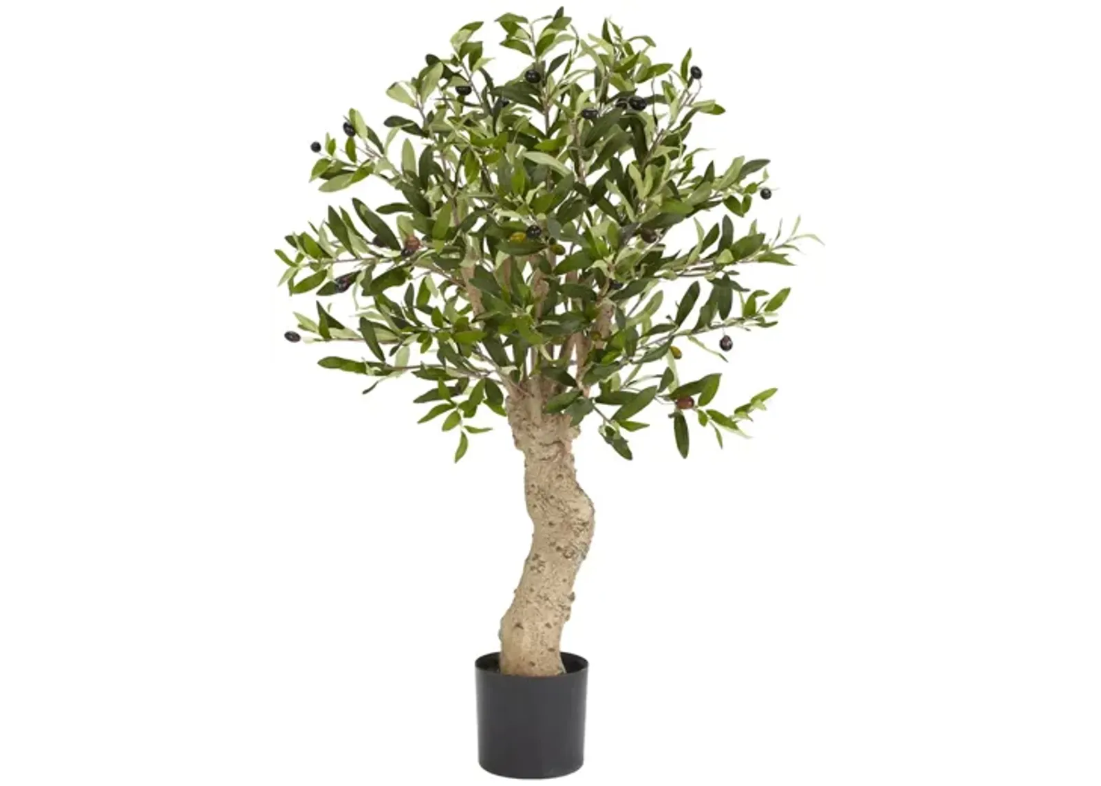 2.5ft. Olive Silk Tree in Green by Bellanest