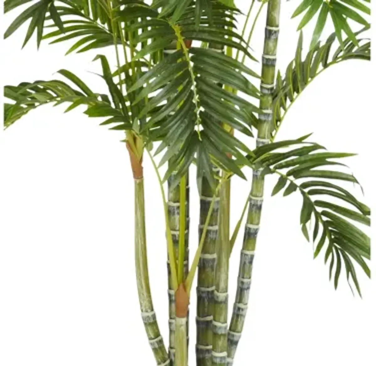 6ft. Areca Palm Silk Tree