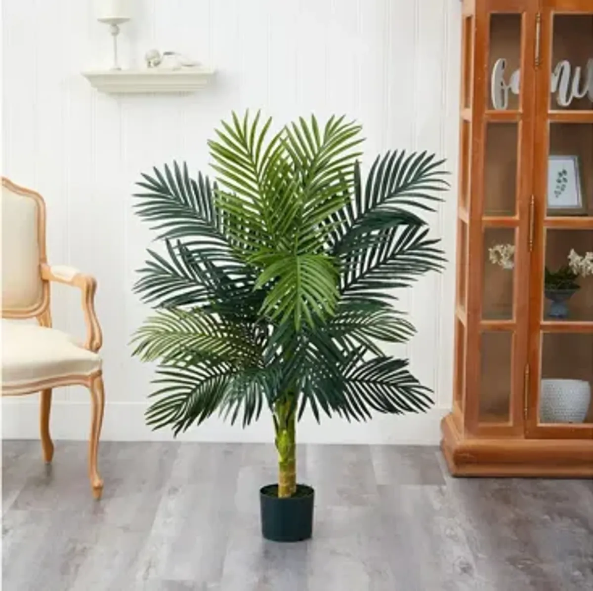 4ft. Golden Cane Palm Tree