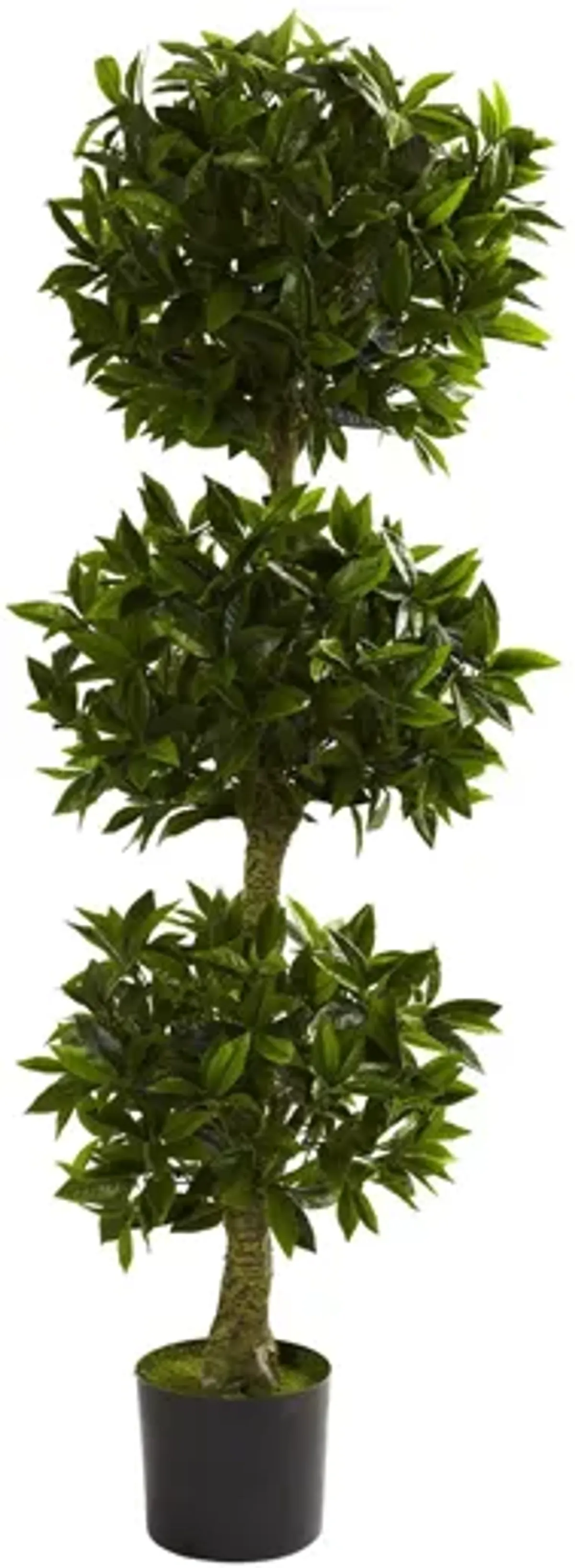 5ft. Triple Bay Leaf Topiary (Indoor/Outdoor) in Green by Bellanest