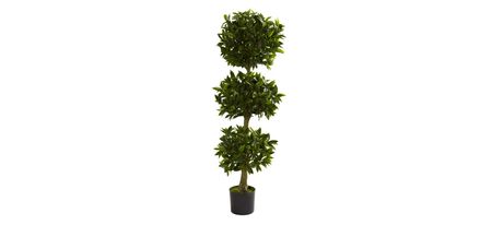 5ft. Triple Bay Leaf Topiary (Indoor/Outdoor) in Green by Bellanest
