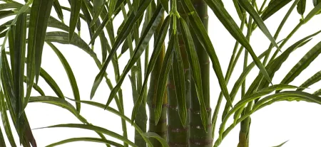4.5ft. Areca Palm (Indoor/Outdoor) in Green by Bellanest