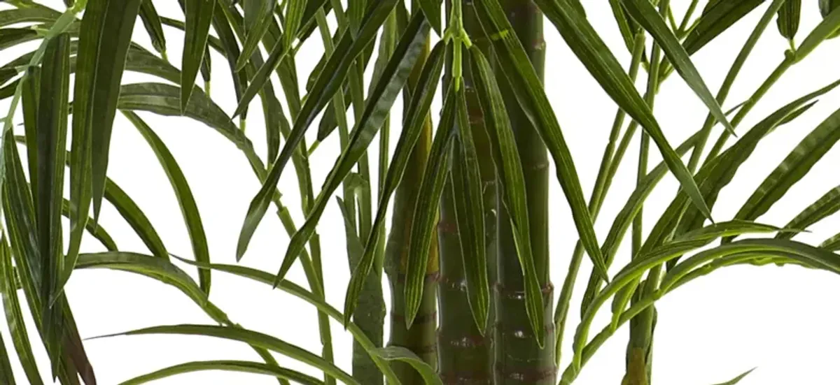 4.5ft. Areca Palm (Indoor/Outdoor)