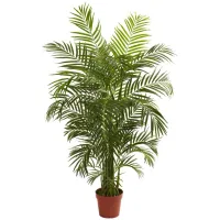 4.5ft. Areca Palm (Indoor/Outdoor) in Green by Bellanest