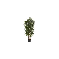 4ft. Raphis Palm Tree in Green by Bellanest