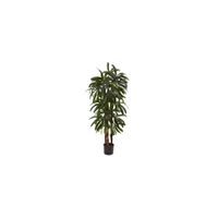 4ft. Raphis Palm Tree in Green by Bellanest