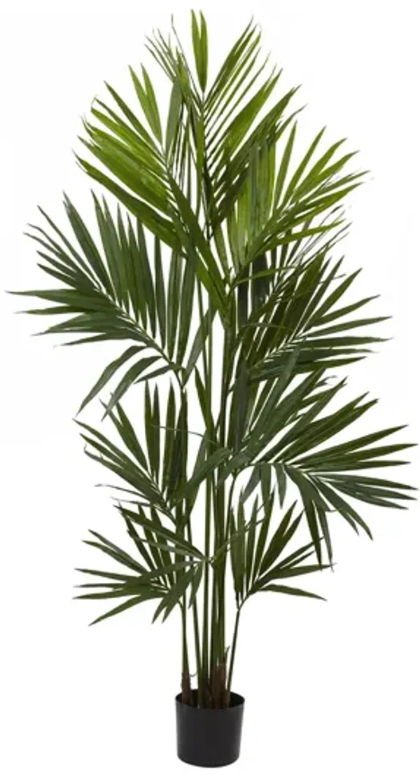 7ft. Kentia Palm Silk Tree