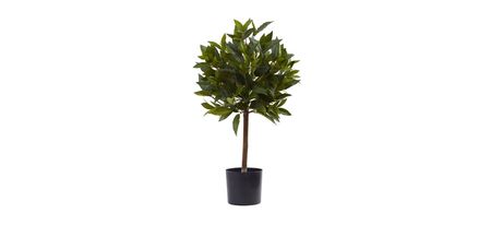 2ft. Sweet Bay Mini Ball Artificial Topiary in Green by Bellanest