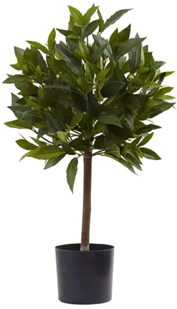 2ft. Sweet Bay Mini Ball Artificial Topiary