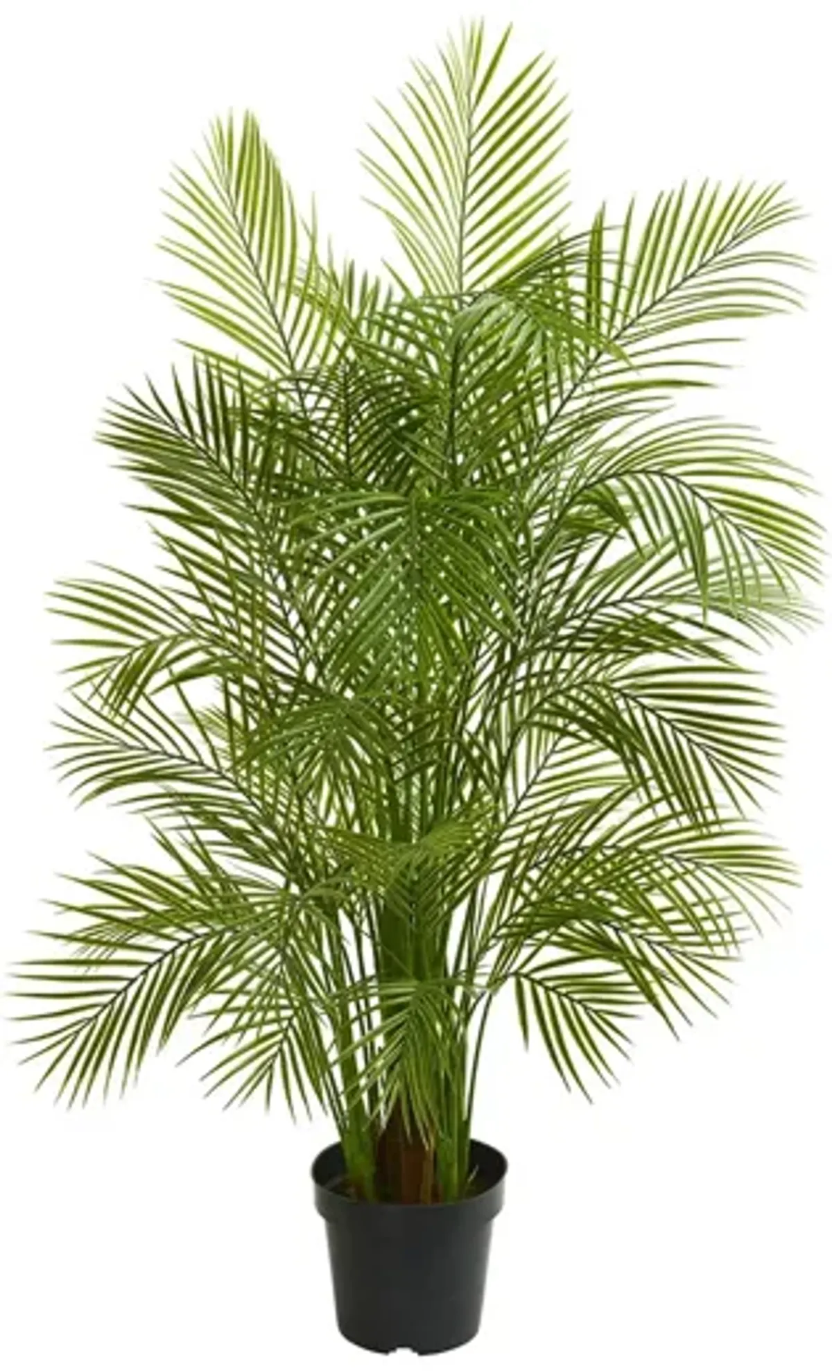 5.5ft. Areca Palm Artificial Tree