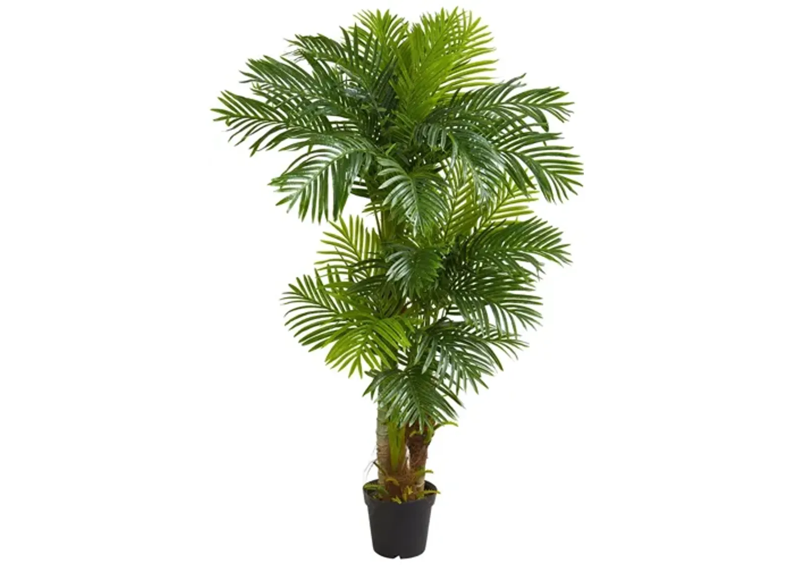 6ft. Hawaii Artificial Palm in Green by Bellanest