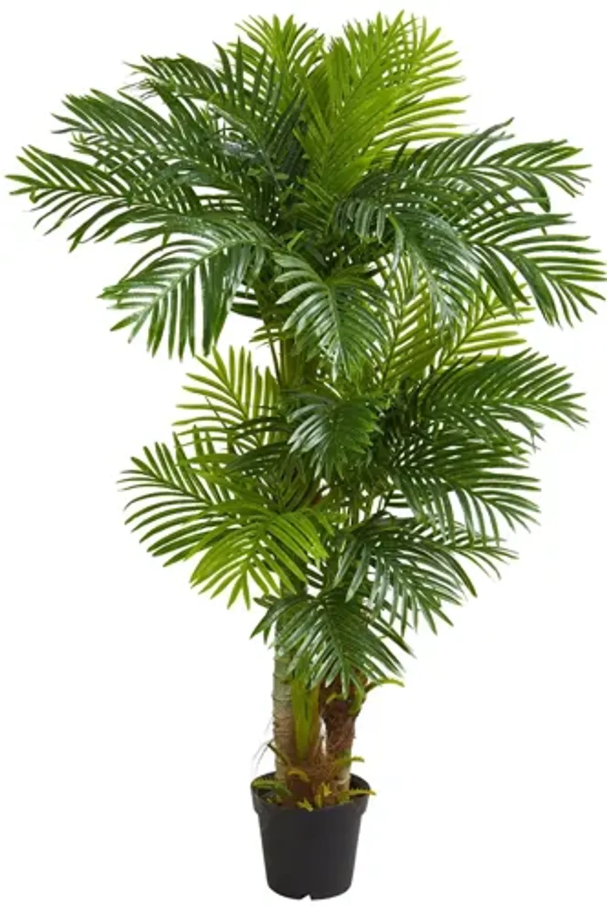 6ft. Hawaii Artificial Palm in Green by Bellanest