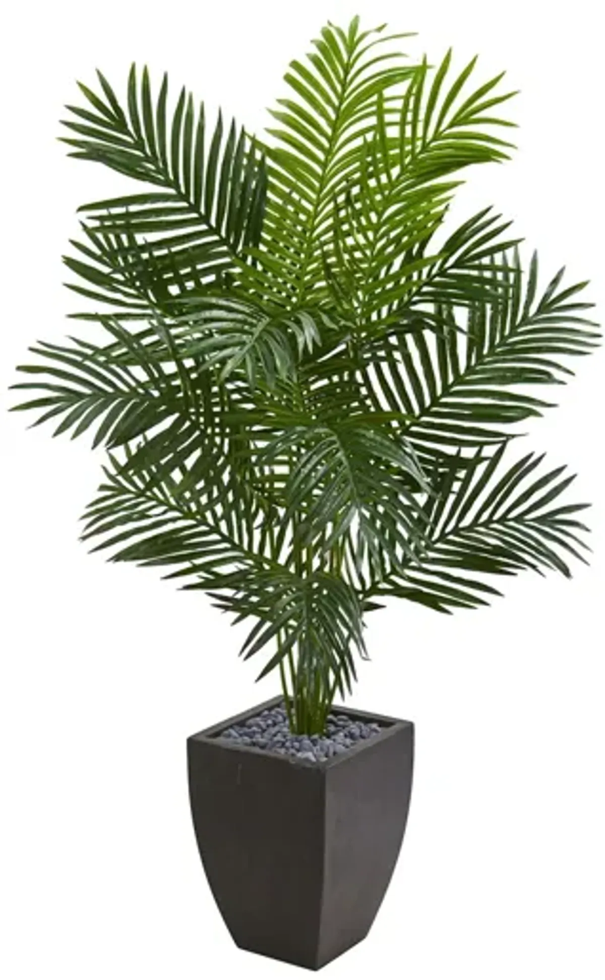 5.5ft. Paradise Artificial Palm Tree in Planter