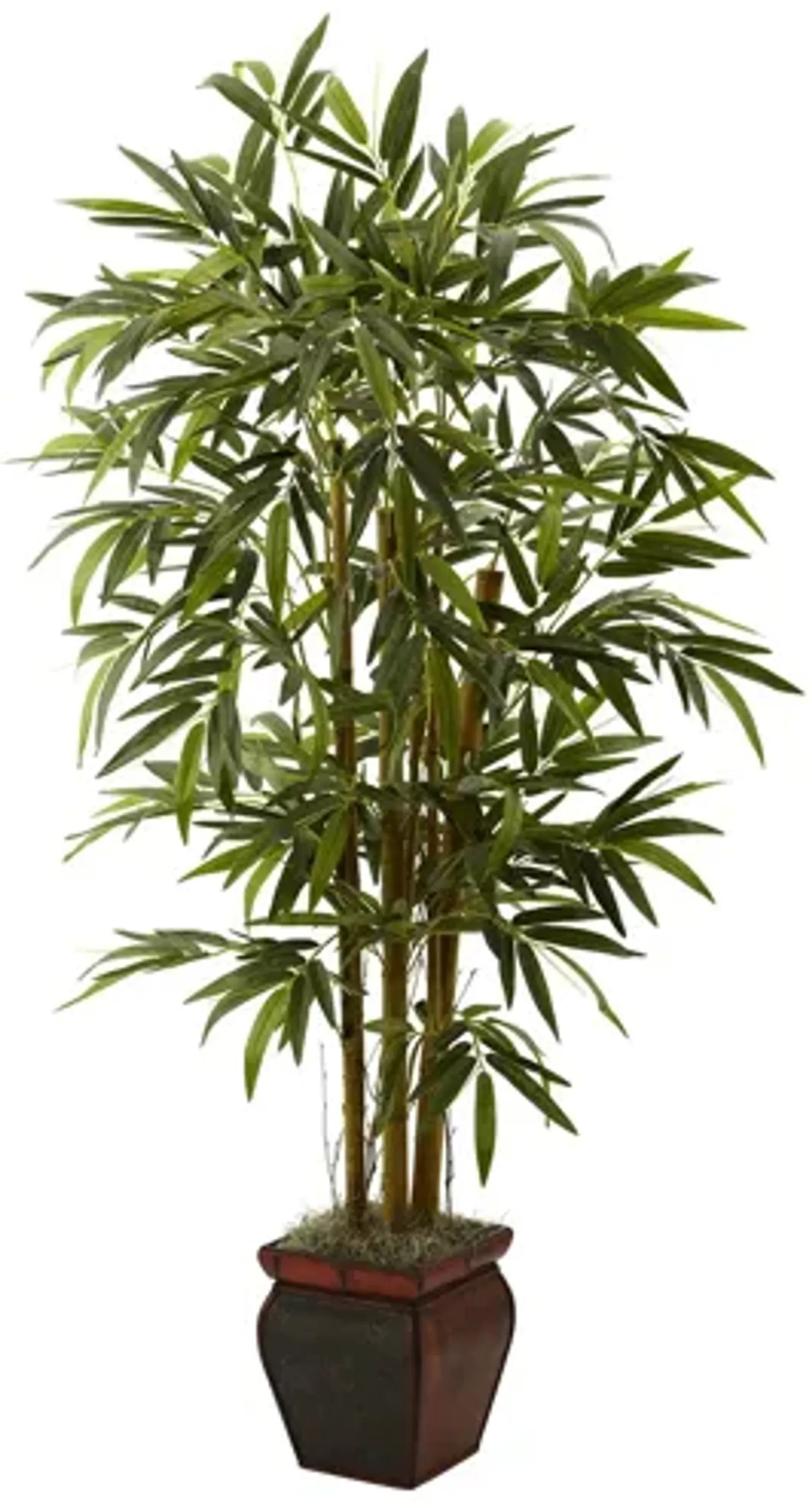 5.5ft. Bamboo with Decorative Planter