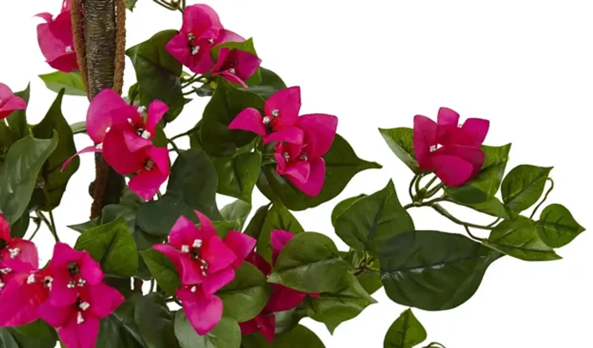 Bougainvillea Tree with European Barrel Planter