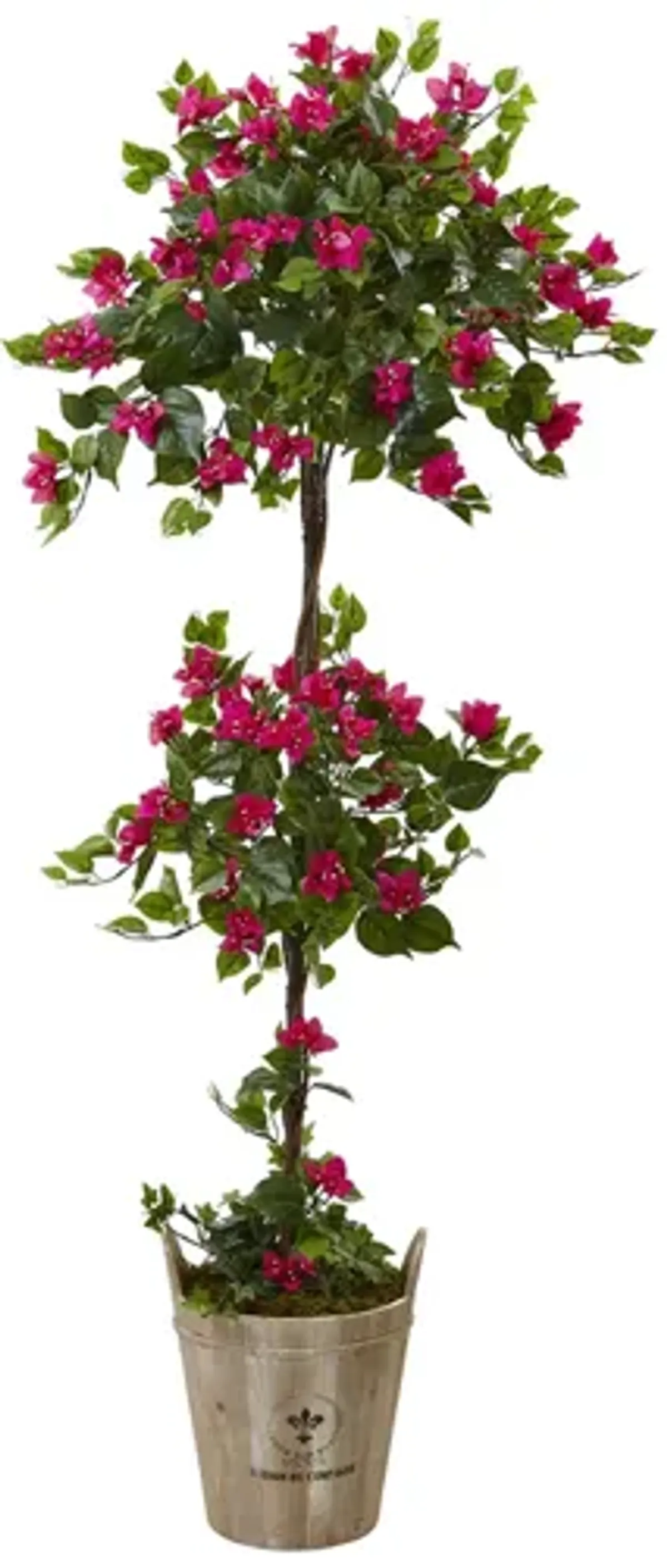 Bougainvillea Tree with European Barrel Planter in Pink by Bellanest