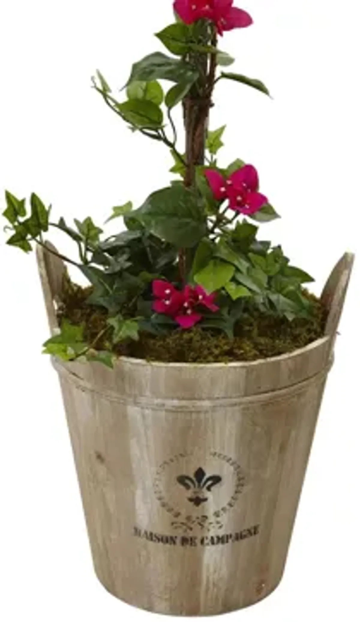 Bougainvillea Tree with European Barrel Planter