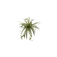 23in. Spider Plant Bush (Set of 4) in Green by Bellanest