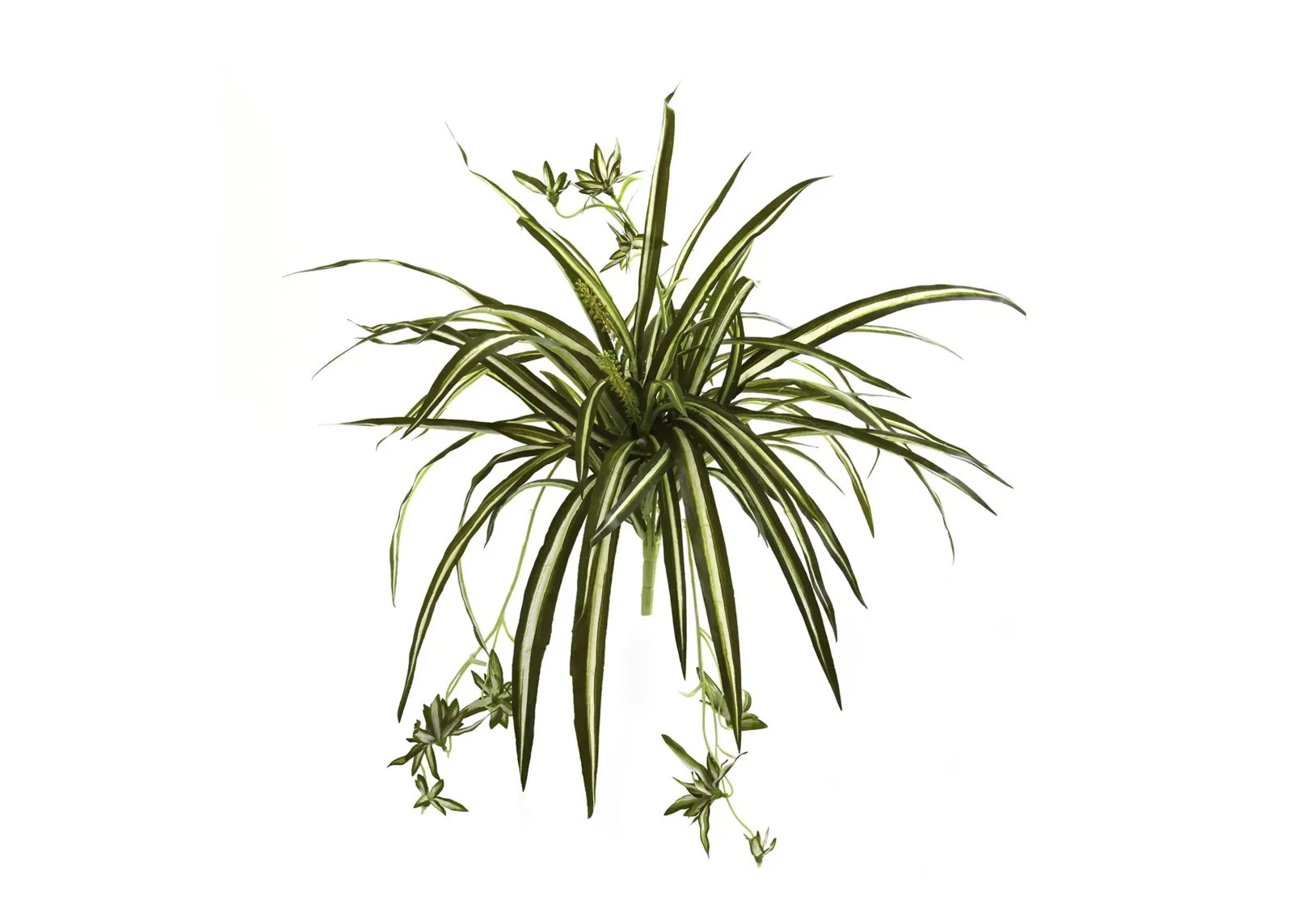 23in. Spider Plant Bush (Set of 4) in Green by Bellanest