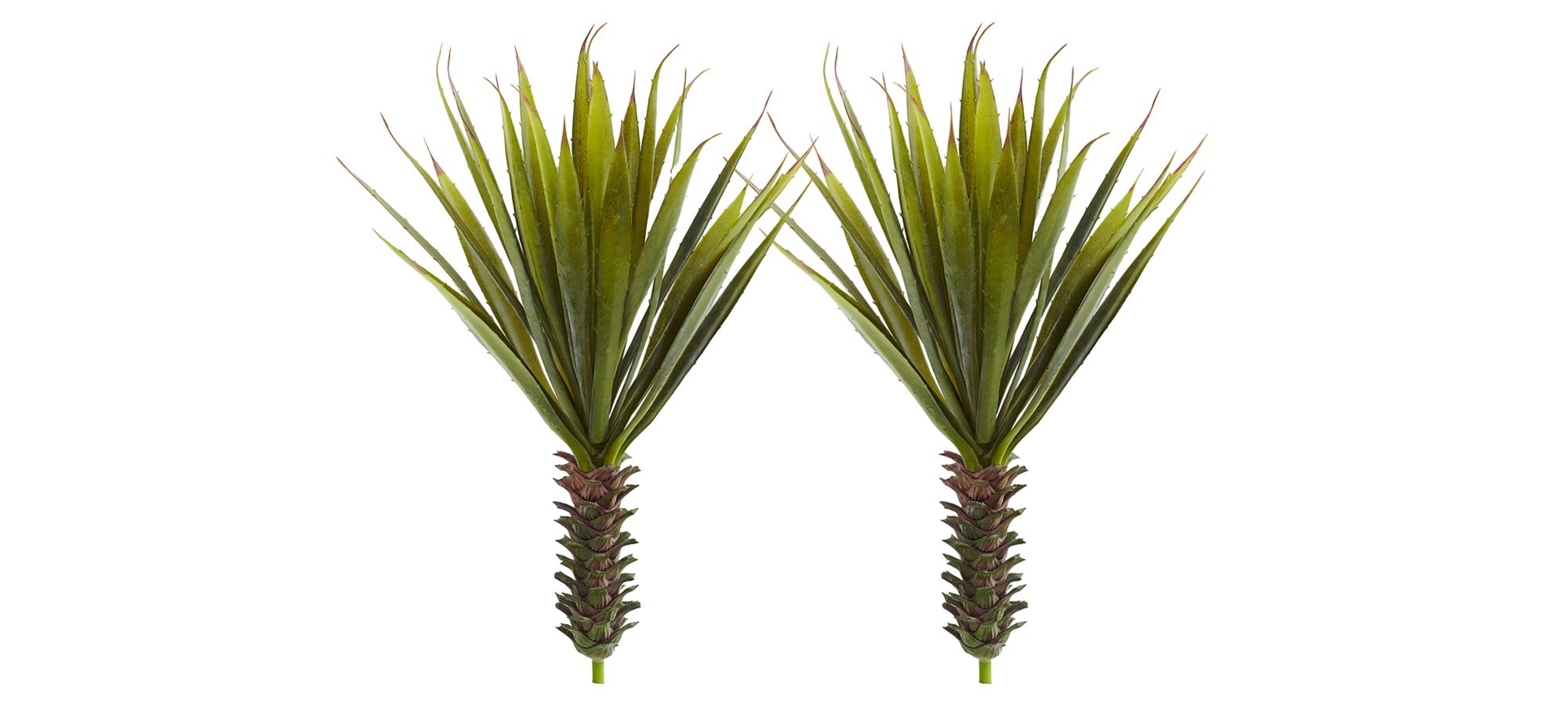Spiky Agave Succulent Plant (Set of 2) in Green by Bellanest