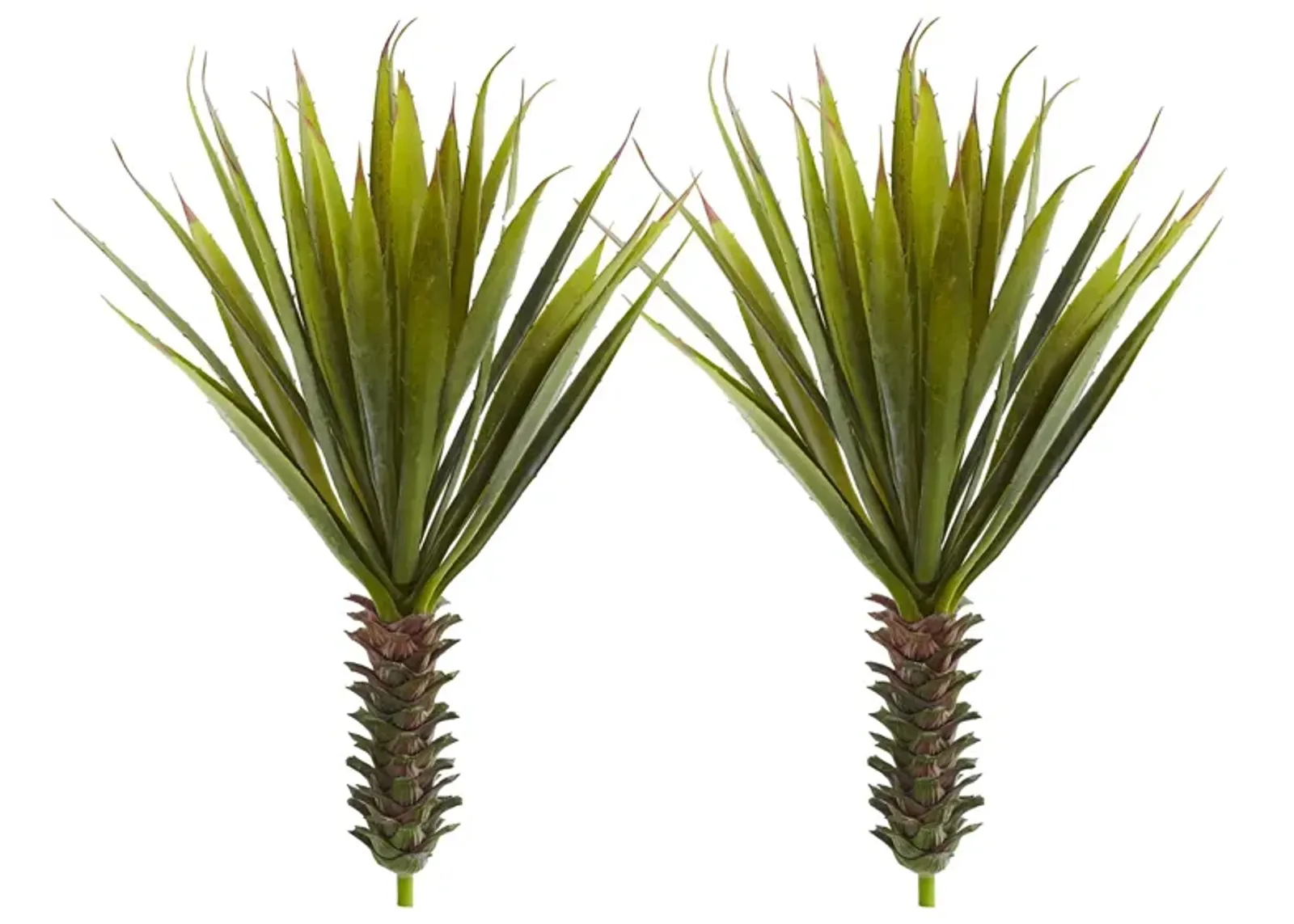 Spiky Agave Succulent Plant (Set of 2) in Green by Bellanest