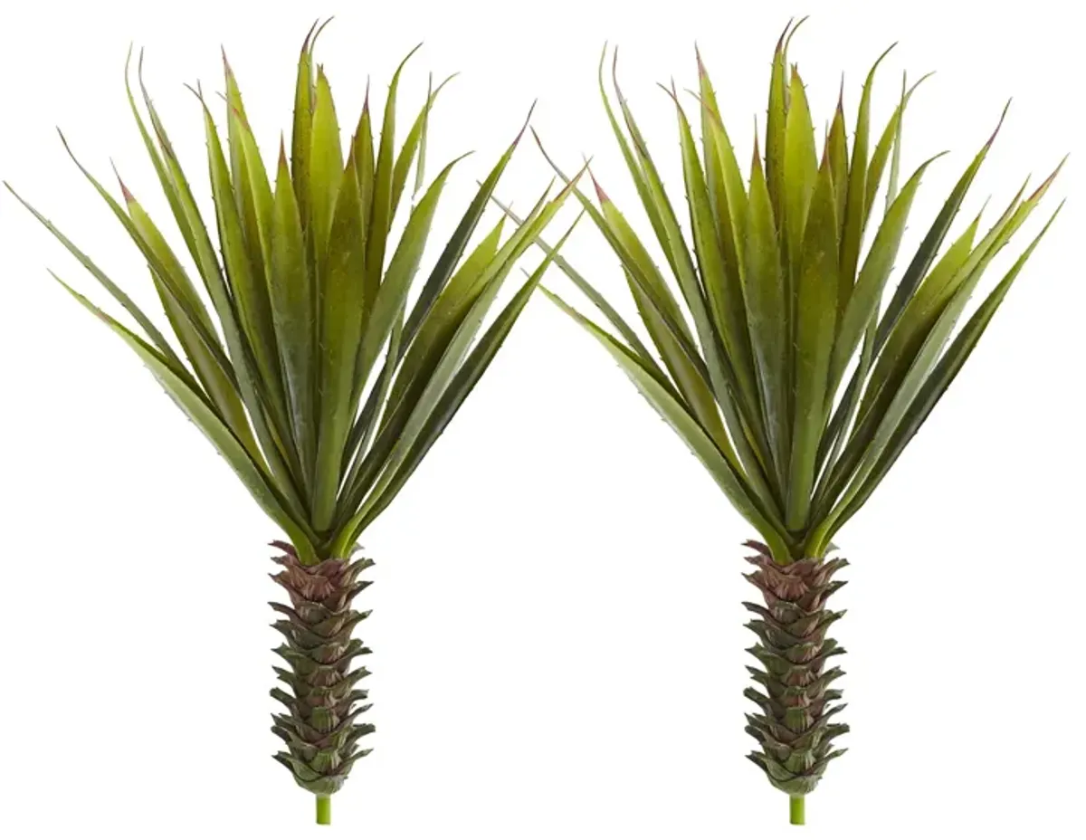 Spiky Agave Succulent Plant (Set of 2) in Green by Bellanest