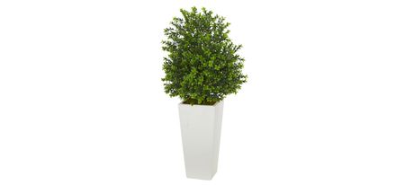 Sweet Grass Artificial Plant in Planter (Indoor/Outdoor) in Green by Bellanest