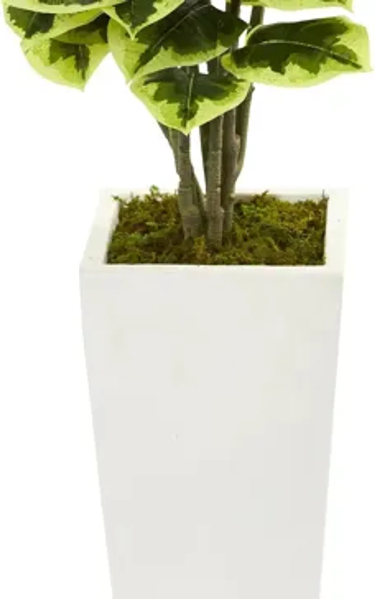 Variegated Rubber Leaf Artificial Plant
