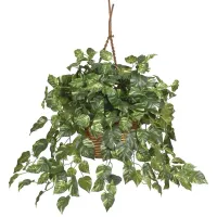 Pothos Hanging Basket Silk Plant in Green by Bellanest
