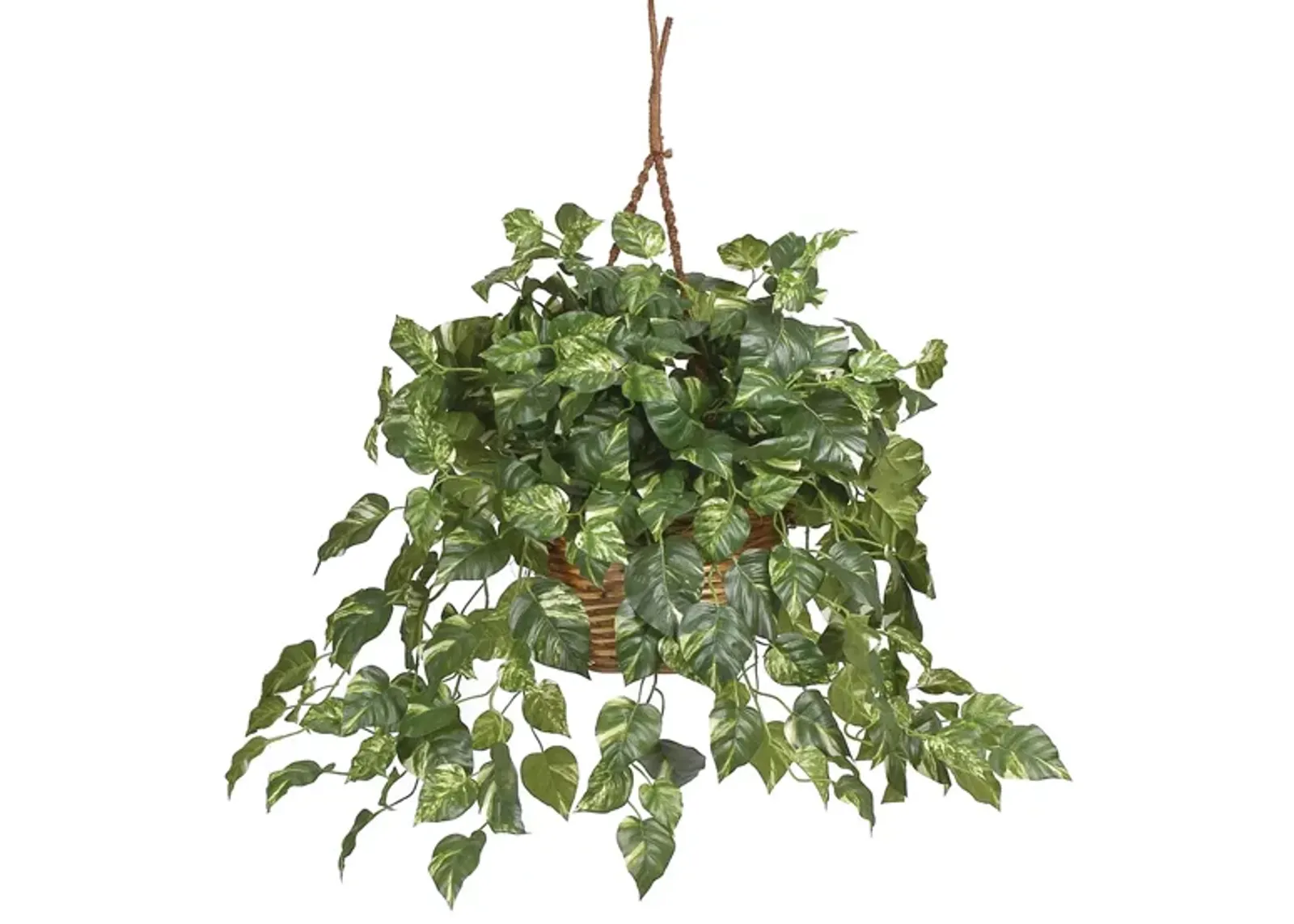 Pothos Hanging Basket Silk Plant in Green by Bellanest