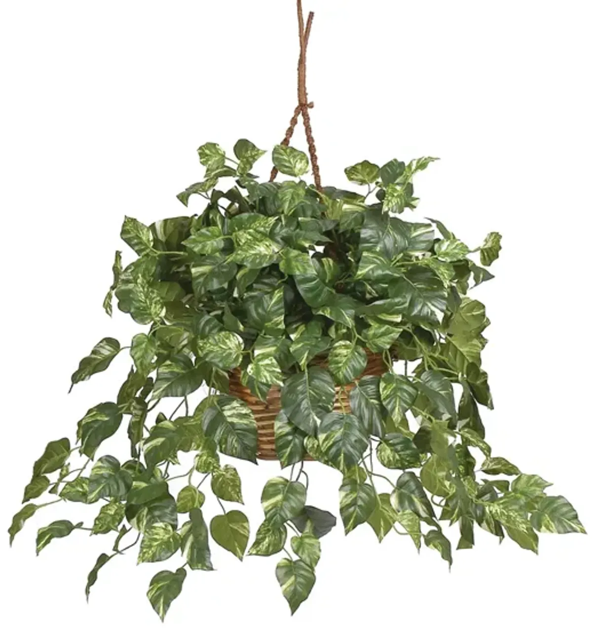 Pothos Hanging Basket Silk Plant in Green by Bellanest