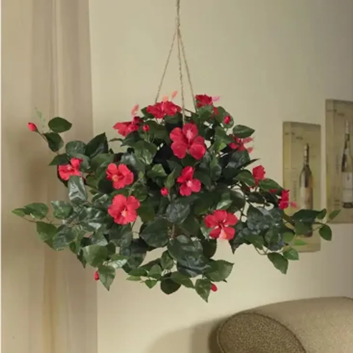 Hibiscus Hanging Basket