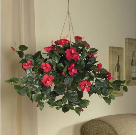 Hibiscus Hanging Basket in Red by Bellanest