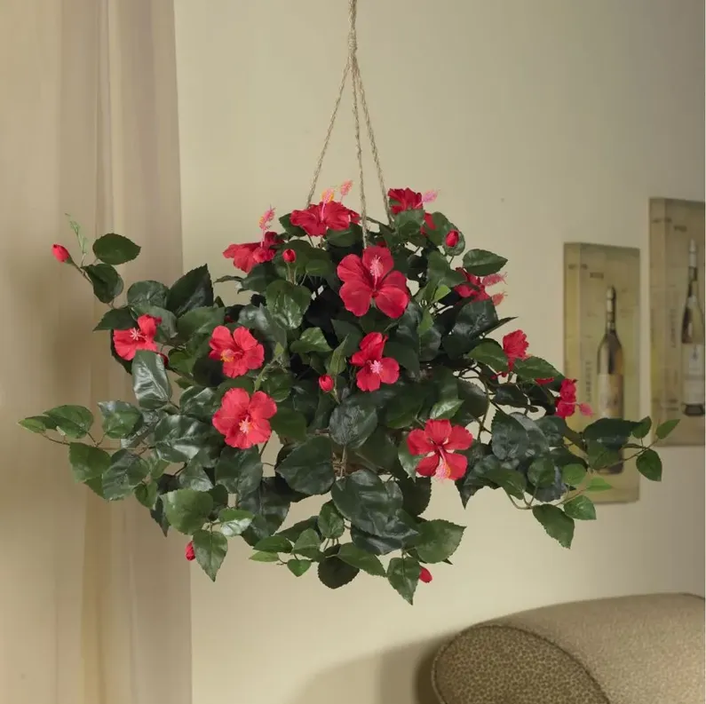 Hibiscus Hanging Basket in Red by Bellanest