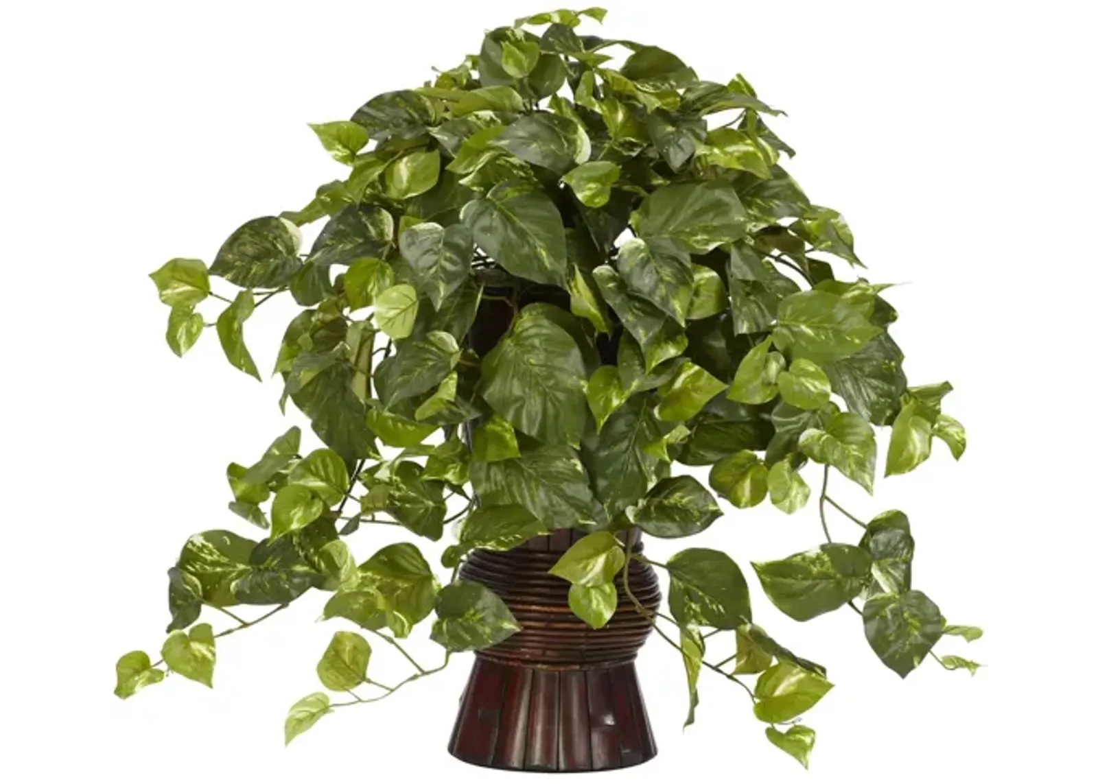 Pothos with Bamboo Vase Silk Plant