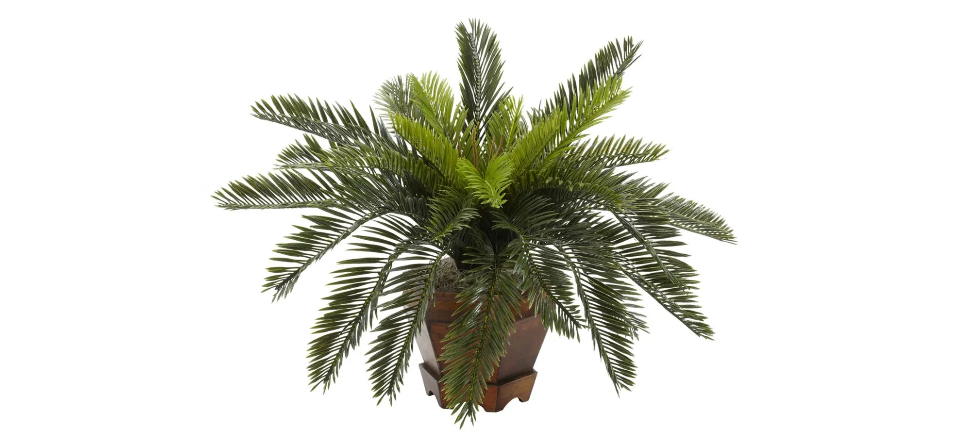 Cycas with Hexagon Vase Silk Plant in Green by Bellanest