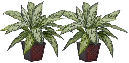 Silver Queen Silk Artificial Plant (Set of 2) in Green by Bellanest