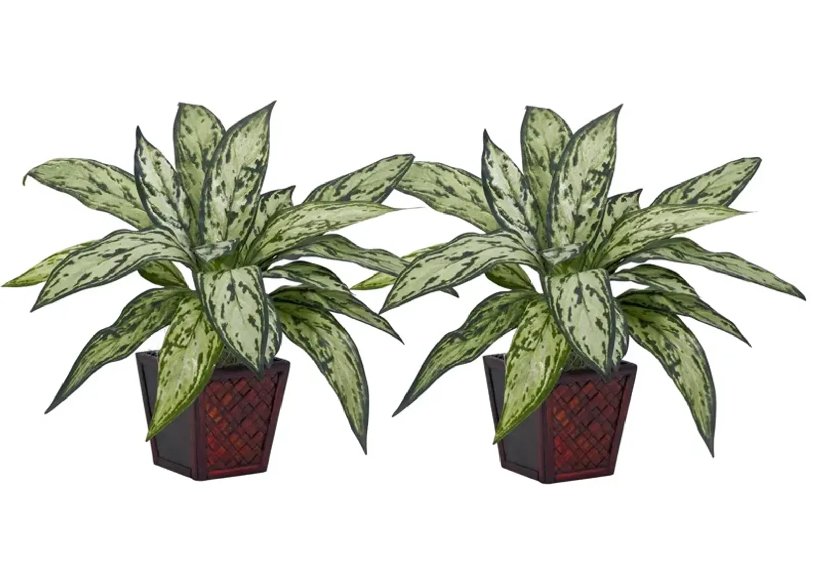 Silver Queen Silk Artificial Plant (Set of 2) in Green by Bellanest