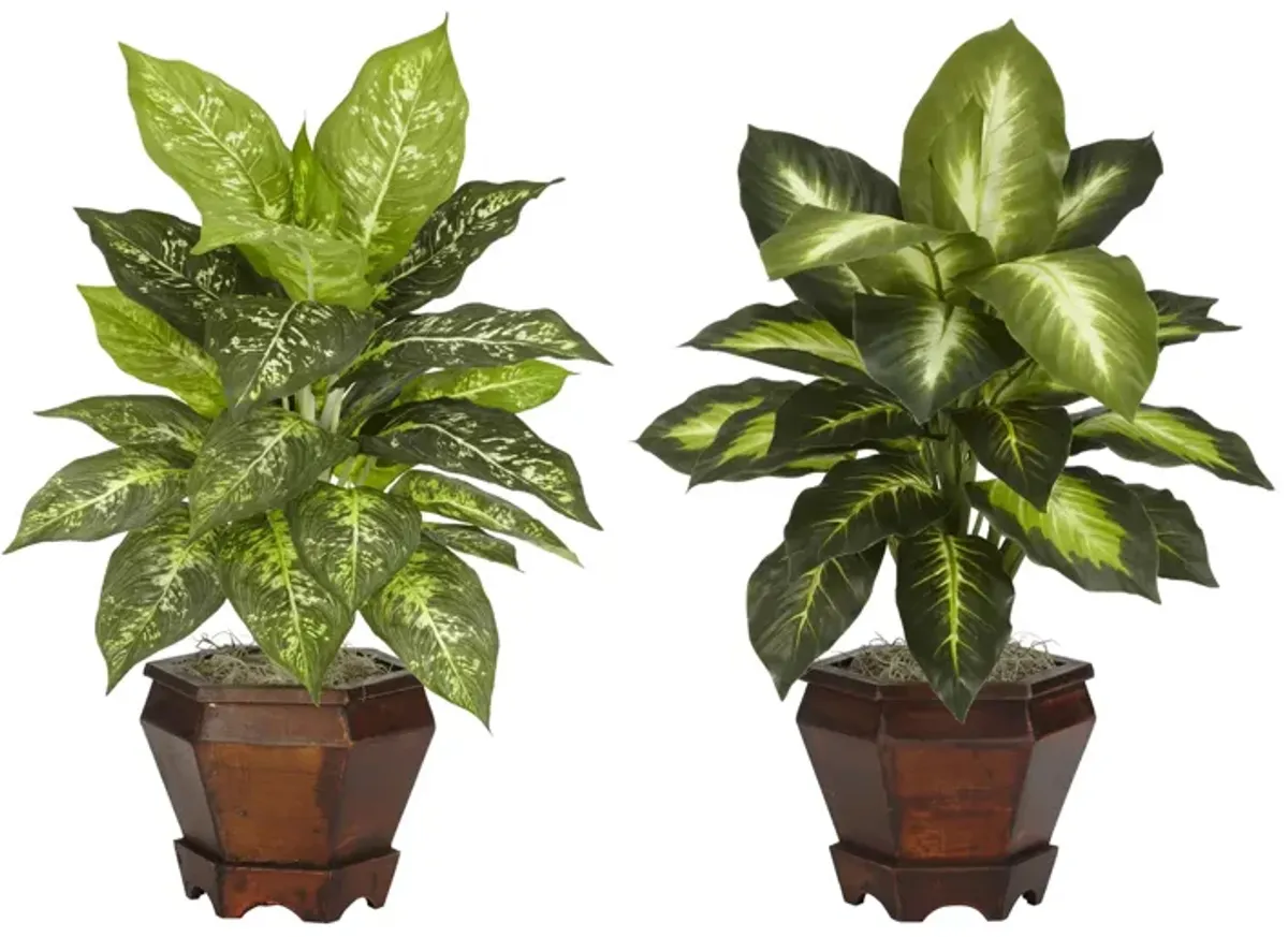Dieffenbachia with Wood Vase Silk Plant (Set of 2)
