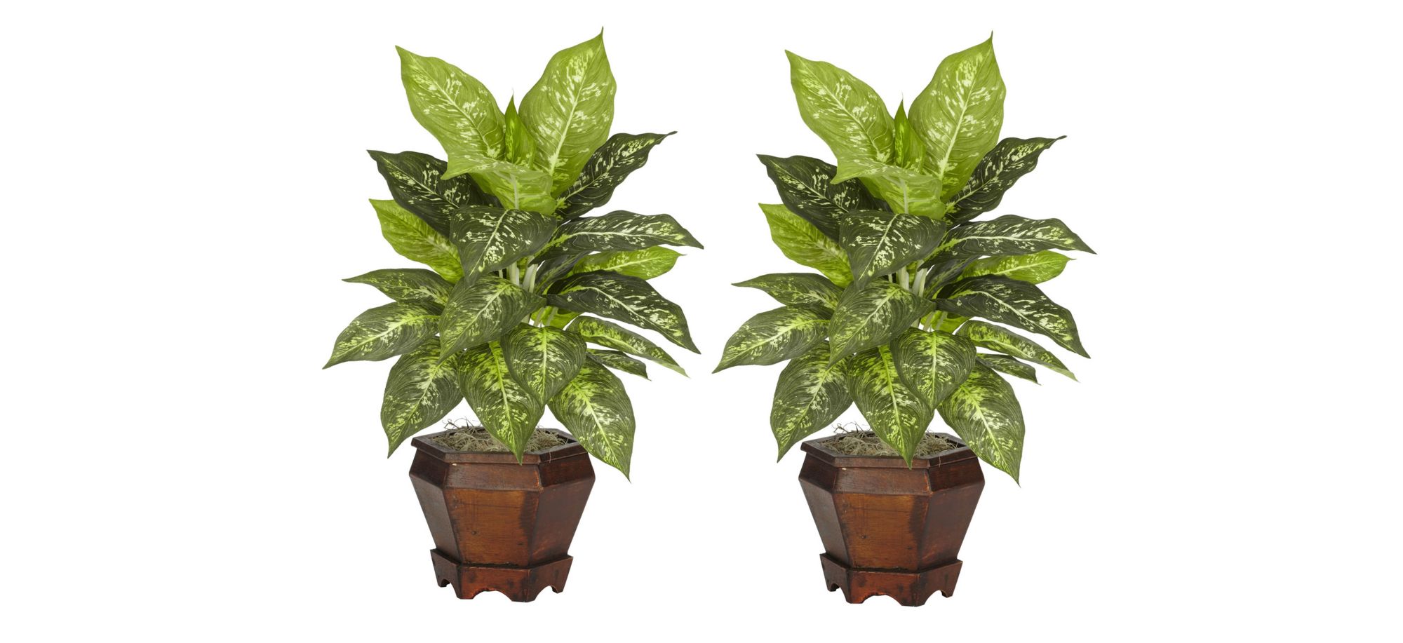 Dieffenbachia with Wood Vase Silk Plant (Set of 2) in Variegated by Bellanest