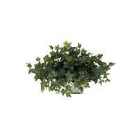 Ivy with White Wash Planter Silk Plant in Green by Bellanest