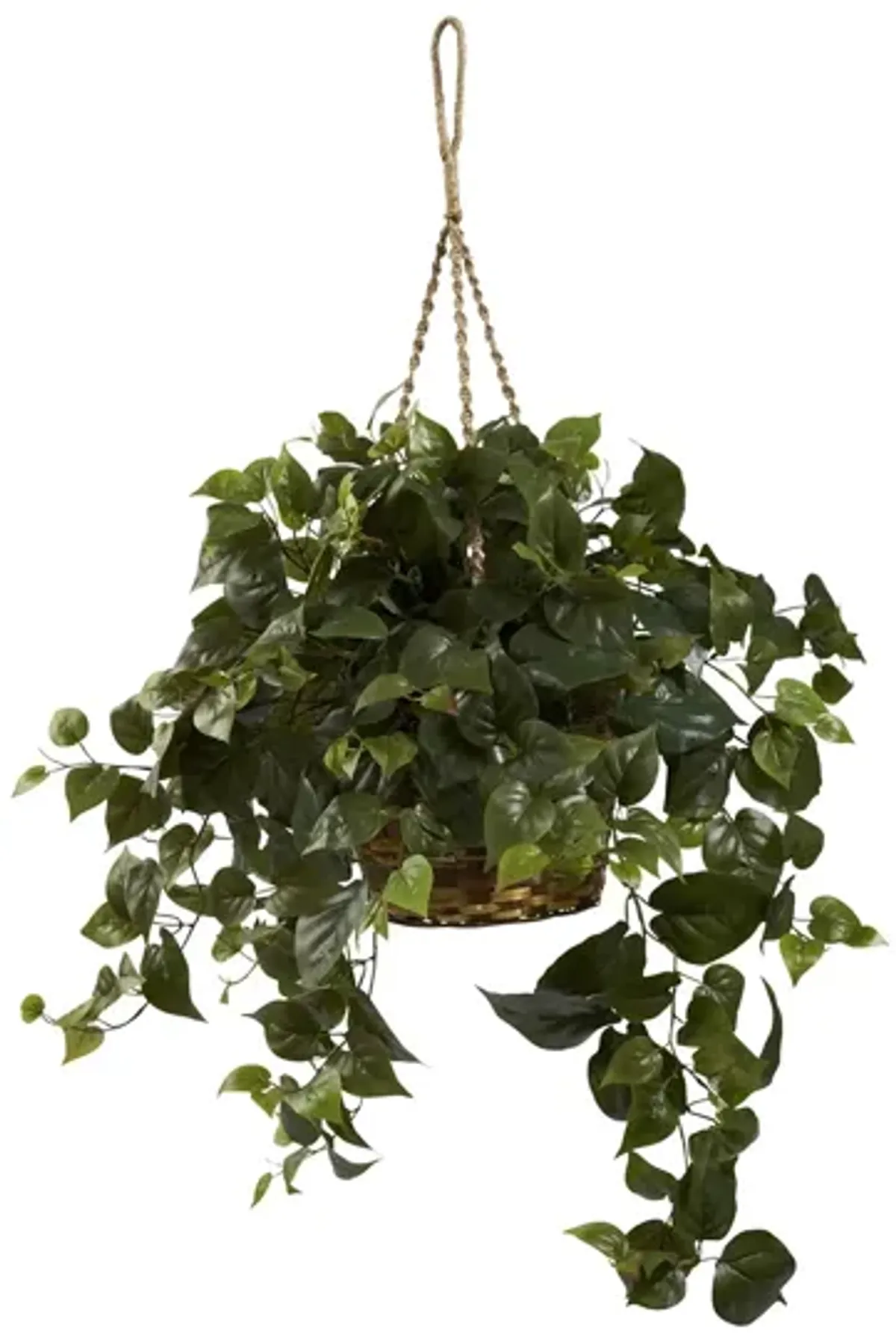 Philo Hanging Basket in Green by Bellanest