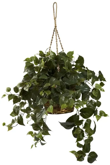 Philo Hanging Basket in Green by Bellanest