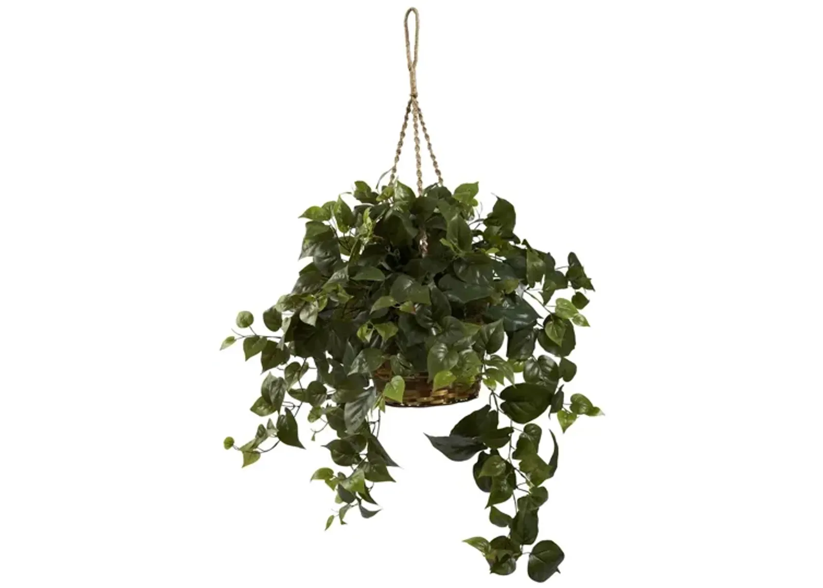 Philo Hanging Basket in Green by Bellanest