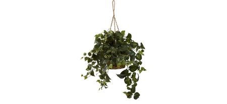 Philo Hanging Basket in Green by Bellanest