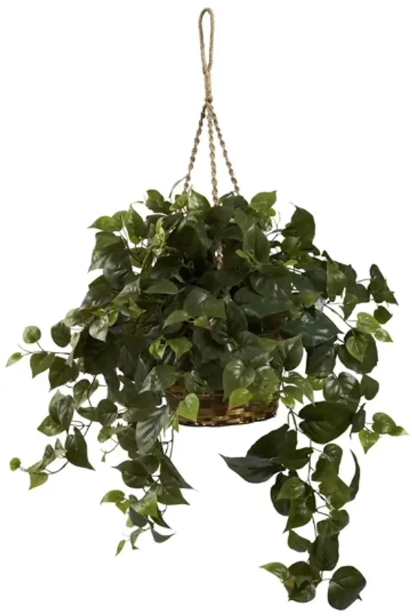 Philo Hanging Basket