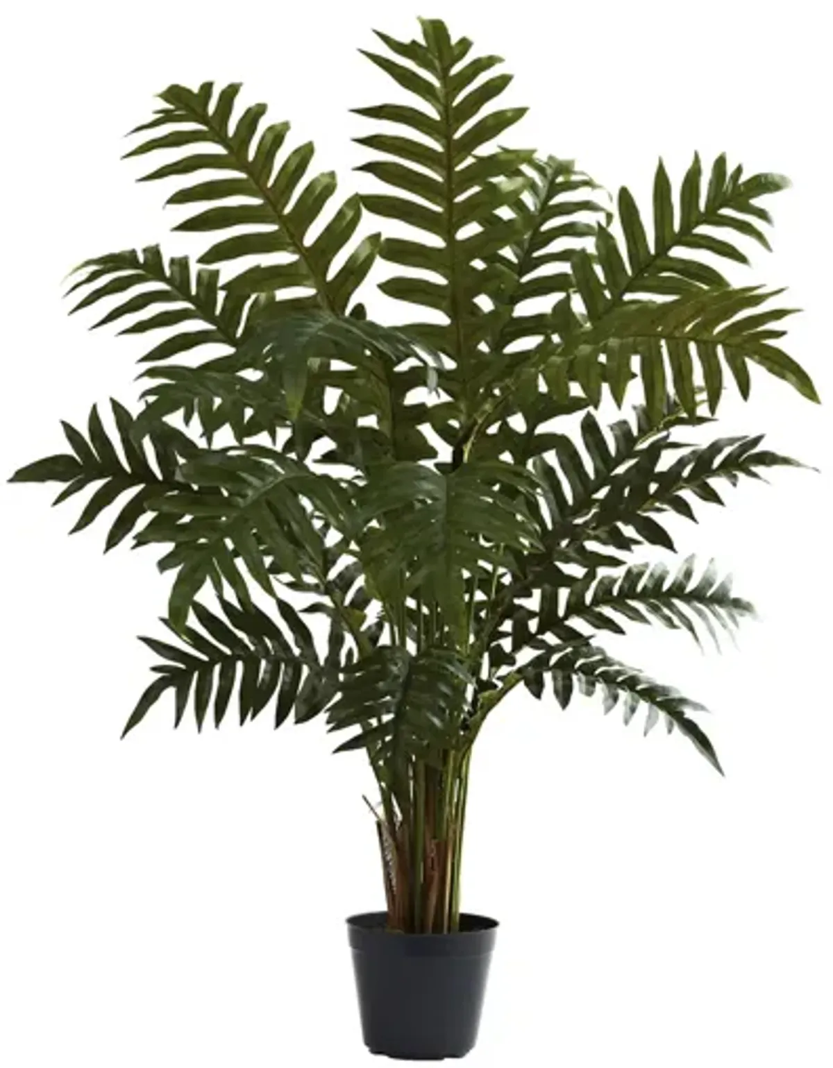 3.5ft. Evergreen Plant in Green by Bellanest