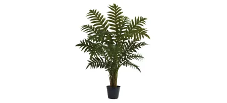 3.5ft. Evergreen Plant in Green by Bellanest